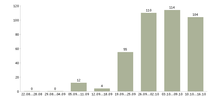 Работа директор в Владивостоке - Число вакансий в Владивостоке по специальности директор за 2 месяца